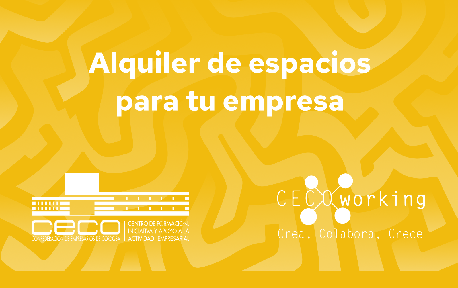 alquiler-de-especios-image-after-confederacion-de-empresarios-ceco-plano