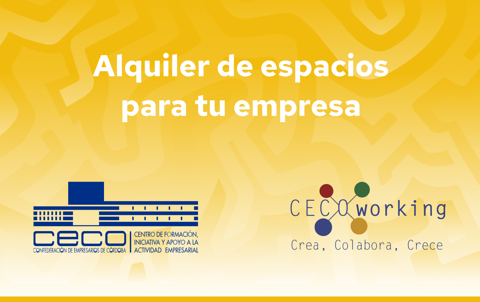 alquiler-de-especios-image-before-confederacion-de-empresarios-ceco-degradado