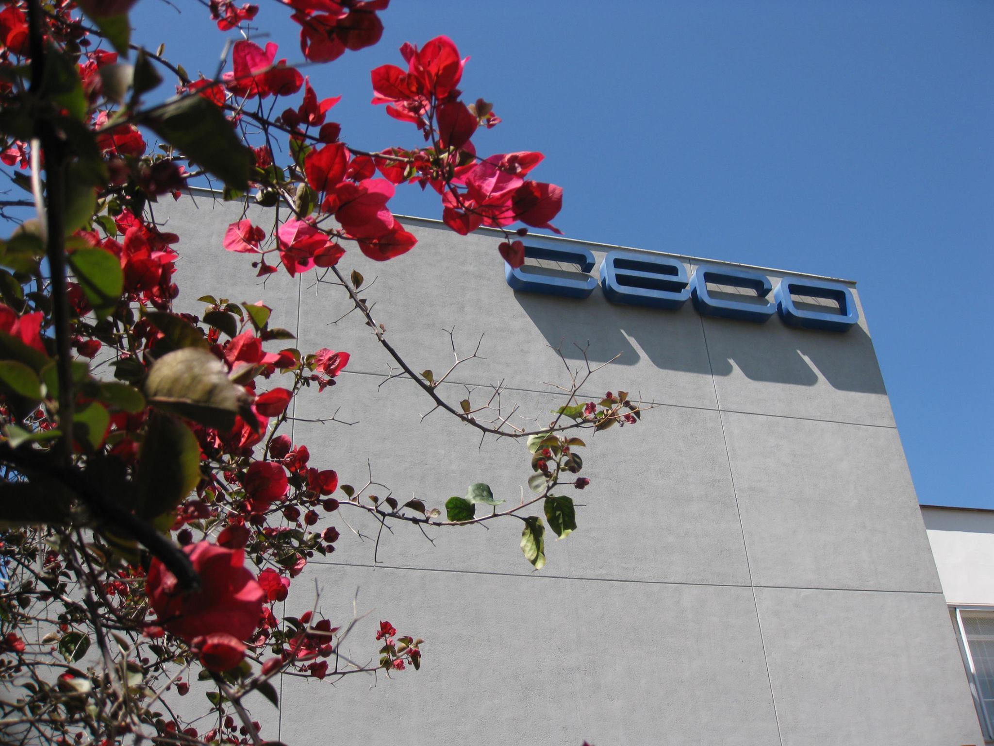 que-es-ceco-fachada-confederacion-de-empresarios-de-cordoba